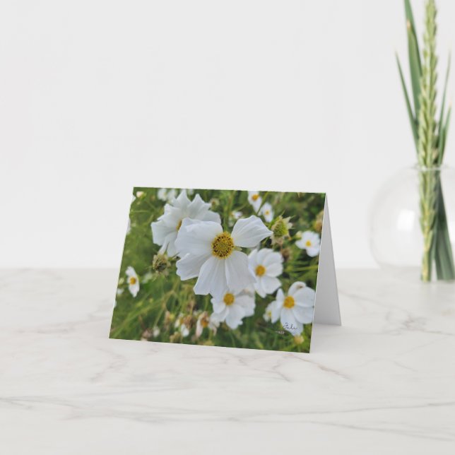 Vita Cosmos Blommor i Trädgården  Helgkort (Framsida)