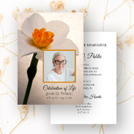 Vita Daffodil Flower Vår Firande i Life Inbjudningar