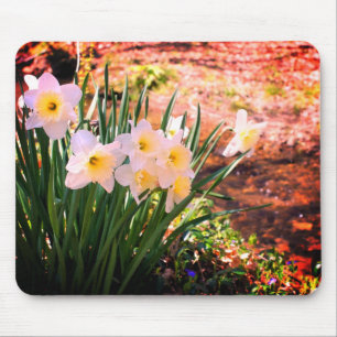 Vita Daffodil Flowers by Brook Musmatta