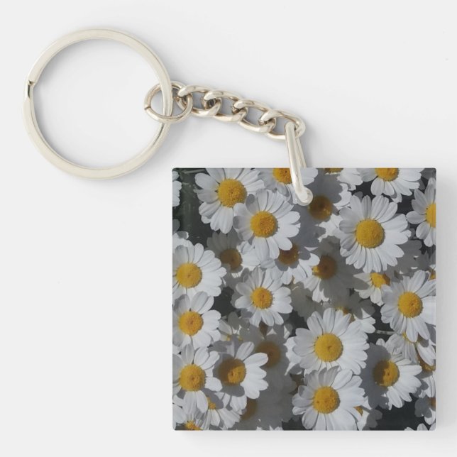 Vita Daisy Akrylsyra (Framsidan)
