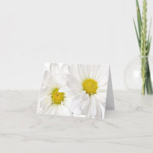 Vita Daisy - Anpassad mall för Daisyns blommor