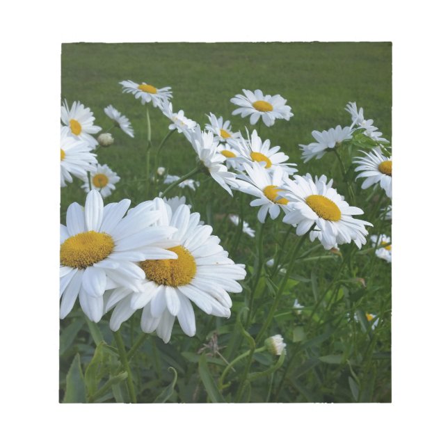 vita daisy anteckningsblock (Framsida)
