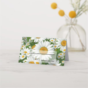 Vita daisy av vita blommigtar i vita vår placeringskort
