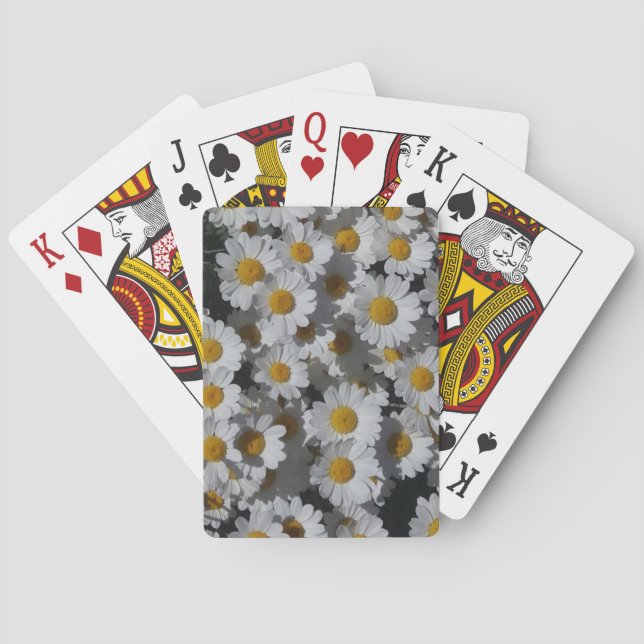 Vita Daisy Casinokort (Baksidan)