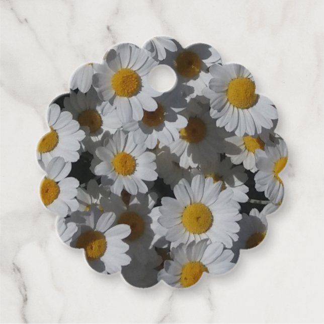 Vita Daisy Gåvor Etiketter (Framsida)