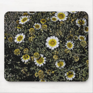 VITA DAISY, GULT CENTER/DIGITALA EFFEKTER/FOTO MUSMATTA