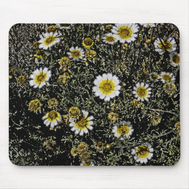 VITA DAISY, GULT CENTER/DIGITALA EFFEKTER/FOTO MUSMATTA (Framsidan)