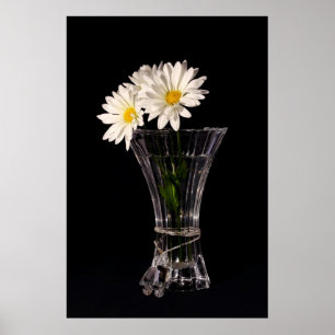 Vita Daisy i Vas Poster