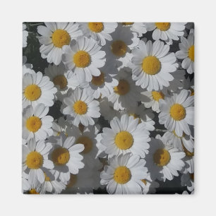 Vita Daisy Magnet