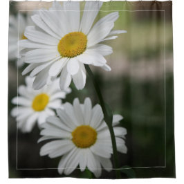 Vita Daisy med Mörk grönt