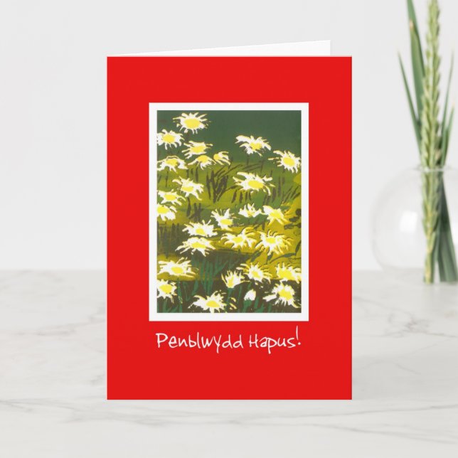 Vita Daisy på Red Birthday Card: Welsh Hälsning Kort (Framsida)