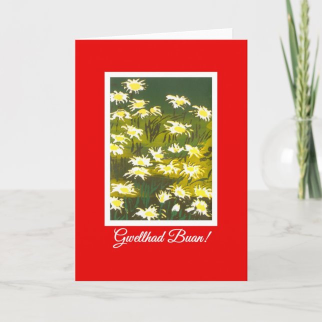 Vita Daisy på Red Get well Card: Welsh Hälsning Kort (Framsida)
