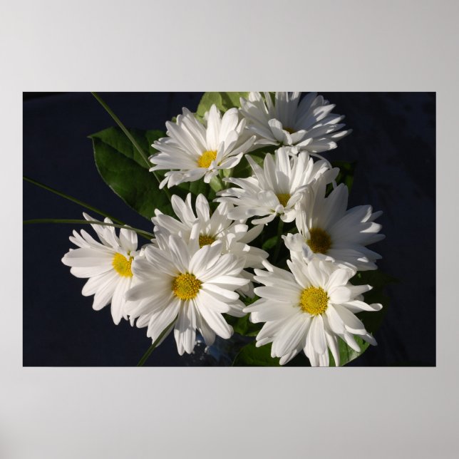 Vita Daisy Poster (Framsidan)