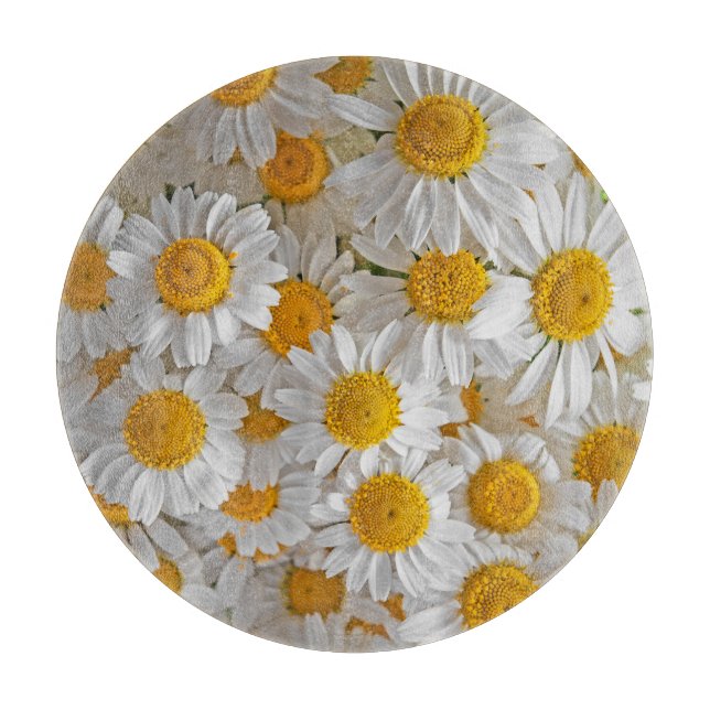 Vita Daisy: Vackra Blommigtar - bakgrund (Framsidan)