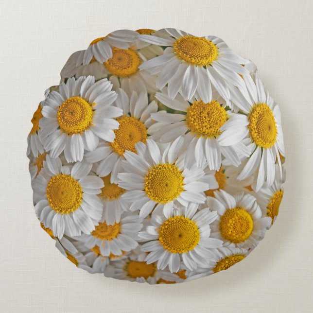 Vita Daisy: Vackra Blommigtar - bakgrund Rund Kudde (Framsidan)