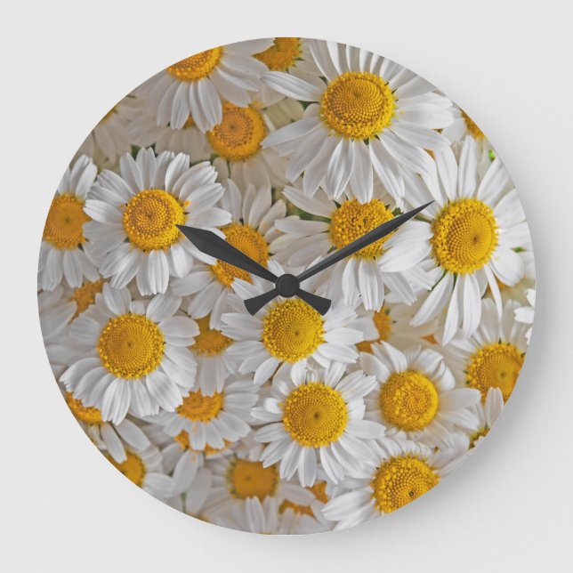 Vita Daisy: Vackra Blommigtar - bakgrund Stor Klocka (Framsida)