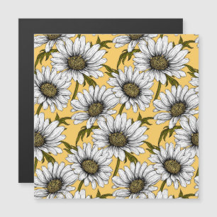 Vita daisy, vild blommor på gulten