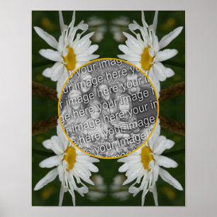 Vita Daisyn Flowers Ram Skapar ditt eget foto Poster