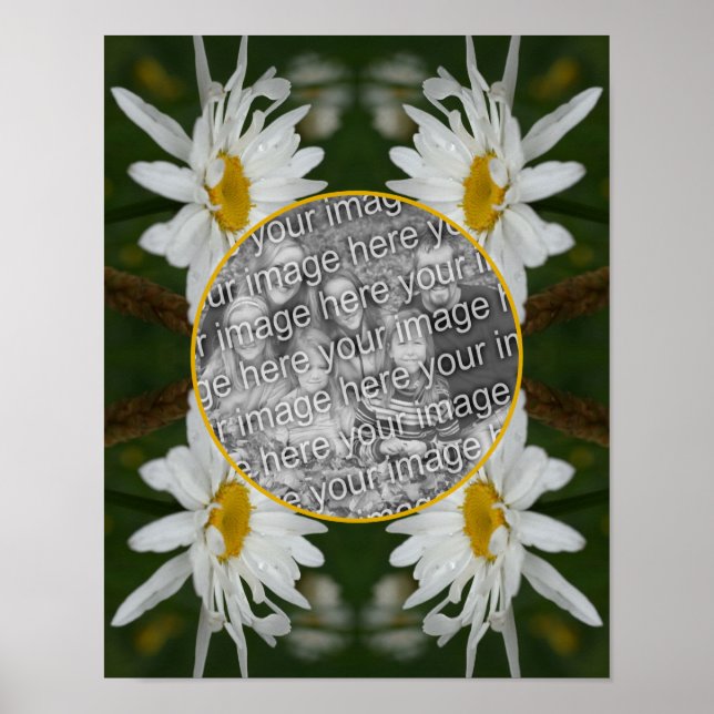 Vita Daisyn Flowers Ram Skapar ditt eget foto Poster (Framsidan)