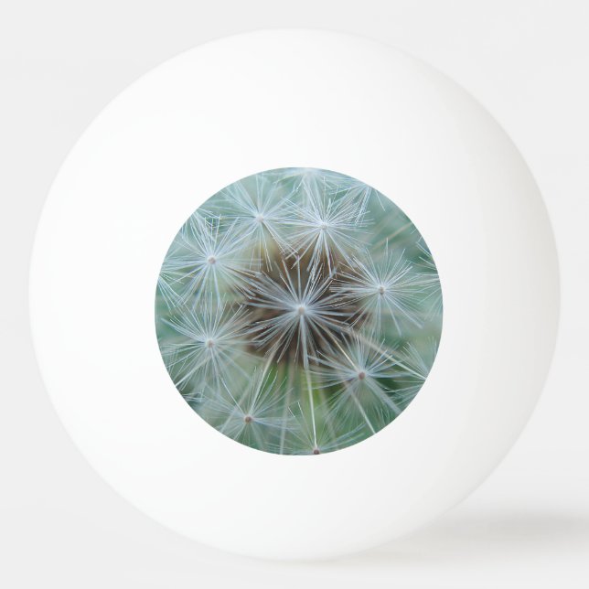 Vita dandelion mönster pingisboll (Framsidan)