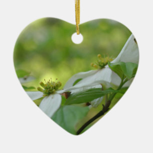 Vita Dogwood-Blommar Flower Ornament