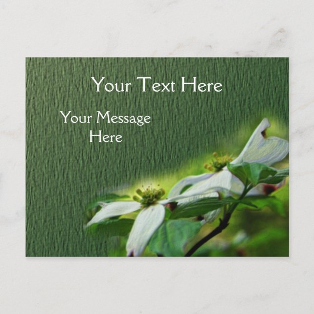 Vita Dogwood-Blommar Flower Vykort (Framsida)