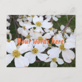 Vita Dogwood Blommor dina postkort för Ord Vykort