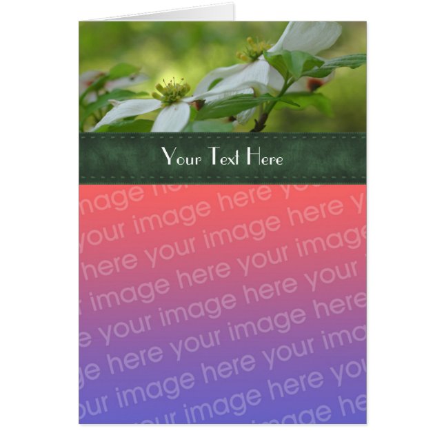 Vita Dogwood Blommor ditt fotokort Hälsningskort (Framsidan)