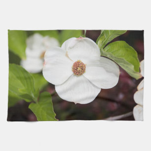 Vita Dogwood Flower Kitchen Towels Kökshandduk