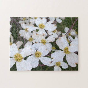 Vita Dogwood Flowers Photograph Puzzles Pussel
