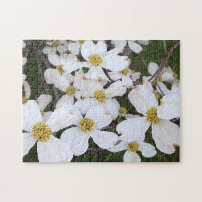 Vita Dogwood Flowers Photograph Puzzles Pussel (Horisontell)