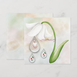 Vita droppar av mjölkras, platta kort