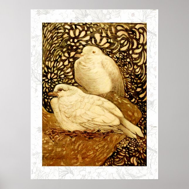 VITA DUVOR I BRUN SEPIA POSTER (Framsidan)