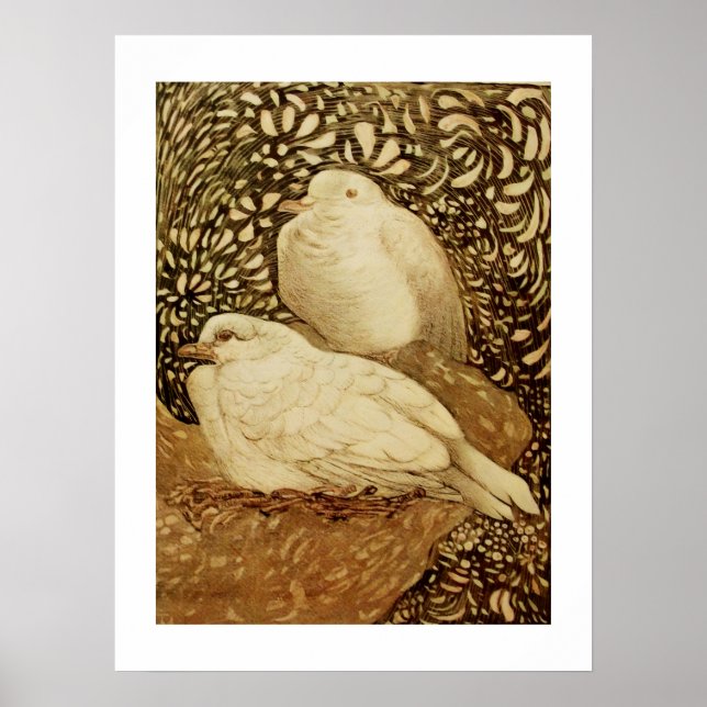 VITA DUVOR I BRUN SEPIA POSTER (Framsidan)