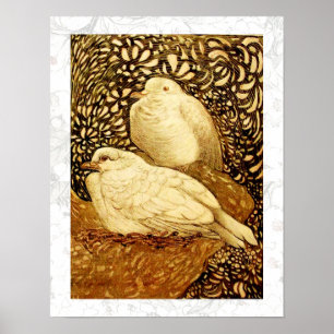 VITA DUVOR I BRUN SEPIA POSTER