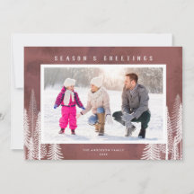 Vita Evergreen Träd Season Greetings Photo