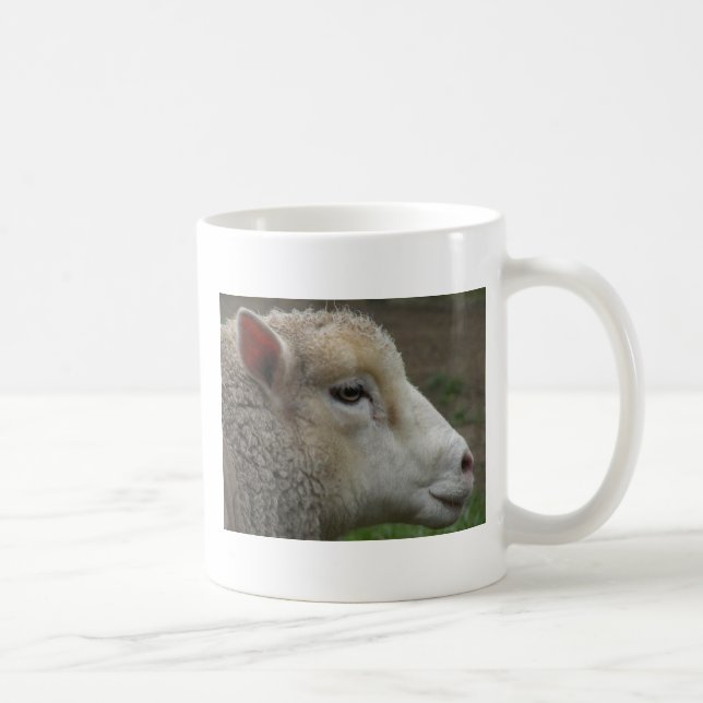 Vita får mugg (Höger)