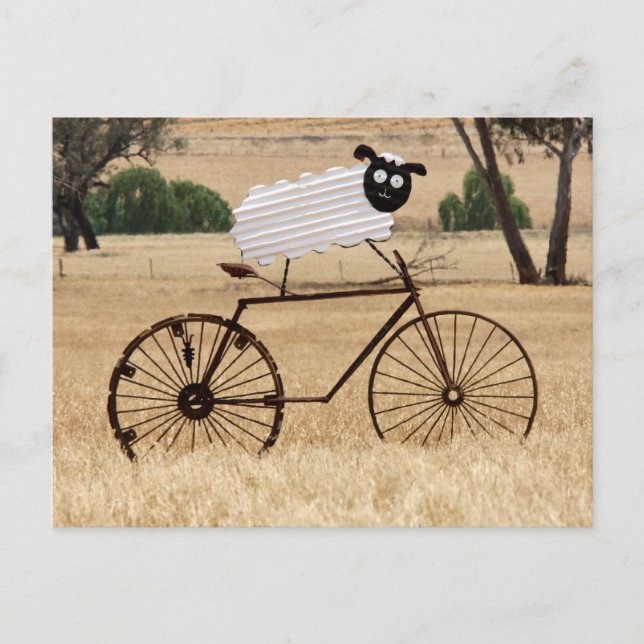 Vita fårstrimmor vykort (Framsida)