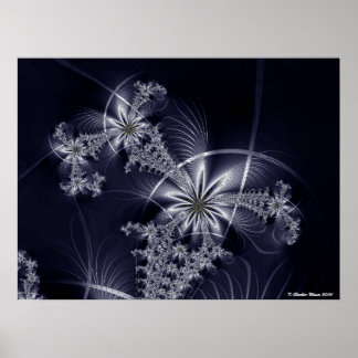 Vita Fireworks Poster
