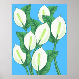 Vita freden lever på blekens blå bakgrund poster