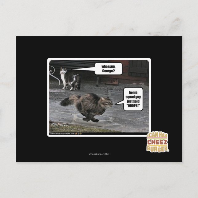 Vita, George? Vykort (Framsida)