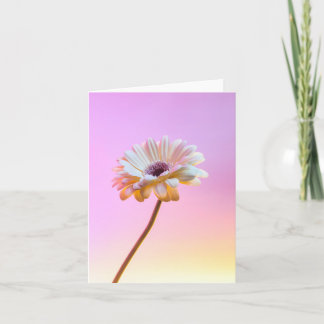 Vita Gerbera Daisy Greeting Card Kort