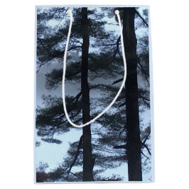 Vita Gräs i Snöstorm —