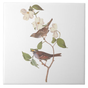 Vita halmstrå ungfåglar med rött ljus med blommor kakelplatta