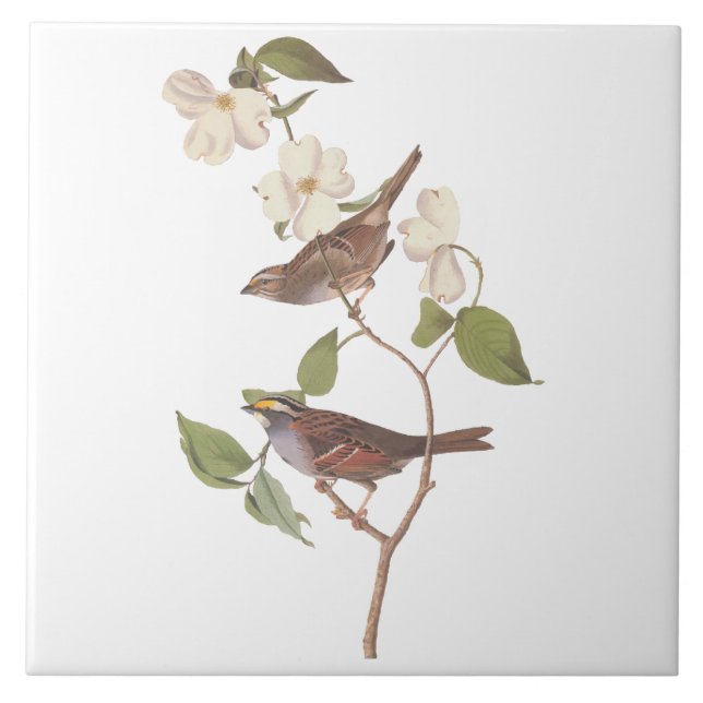 Vita halmstrå ungfåglar med rött ljus med blommor kakelplatta (Framsidan)