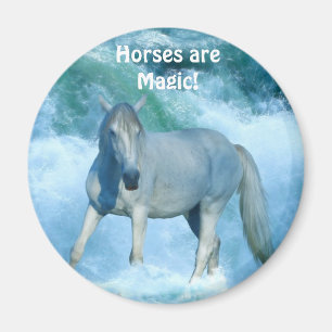 Vita häst- och havsetiska Surfan Equine Art Magnet