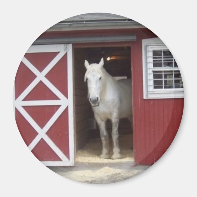 Vita hästar i Röda Barn Magnet (Framsidan)