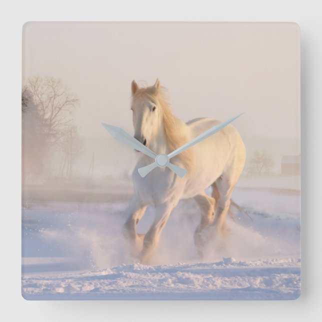 Vita hästar i Snö Fotoväggsklocka Fyrkantig Klocka (Framsida)