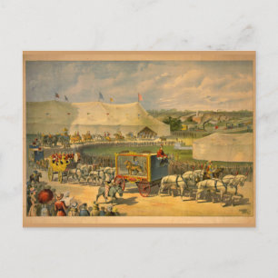 Vita hästar Parad Circus Poster Vykort