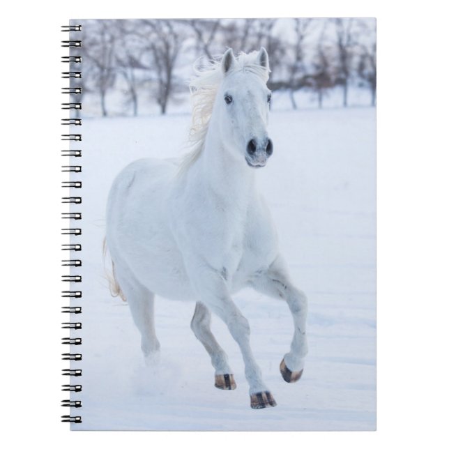 Vita hästar som springer i Snö Anteckningsbok (Framsidan)